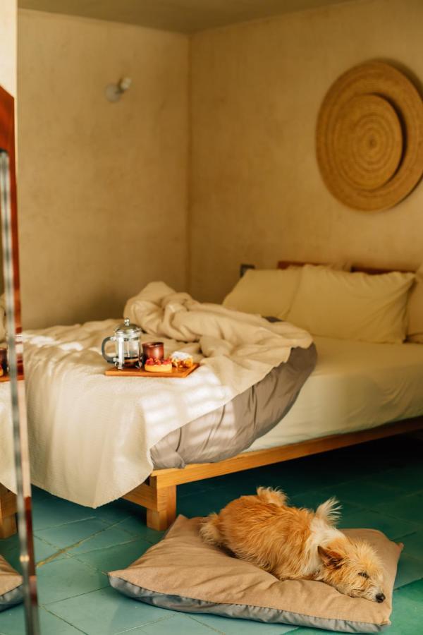 Hotel Boulenc Bed And Bread Oaxaca Exteriér fotografie