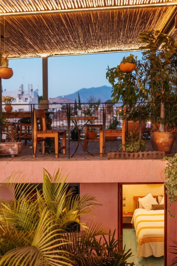 Hotel Boulenc Bed And Bread Oaxaca Exteriér fotografie